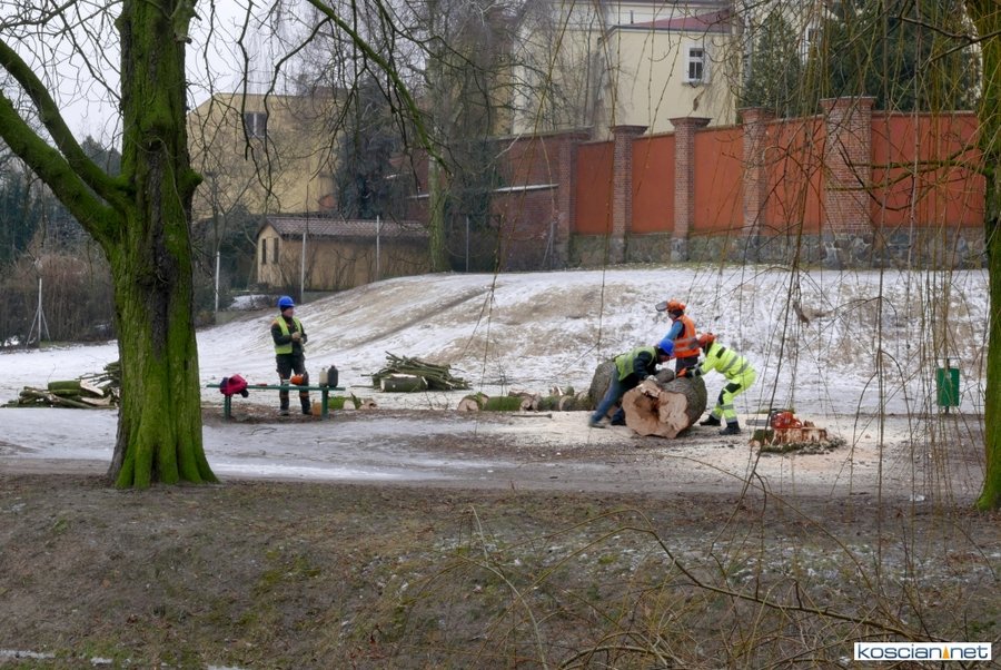  Ze skarp kanału usuniętych zostanie 30 drzew