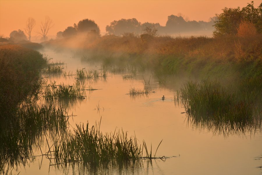 Fot. Jacek Olejniczak