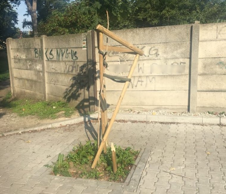 Zdjęcie z 27 sierpnia 2019