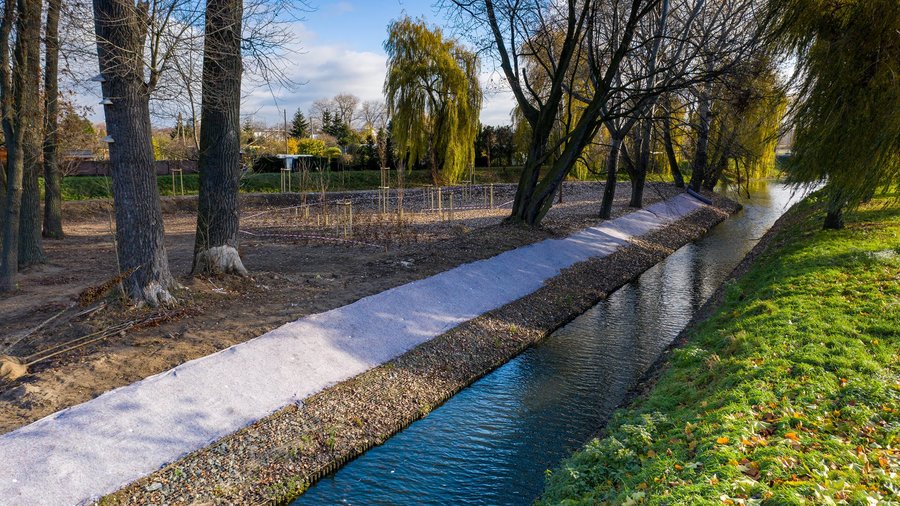 Fot. Piotr Nędzewicz