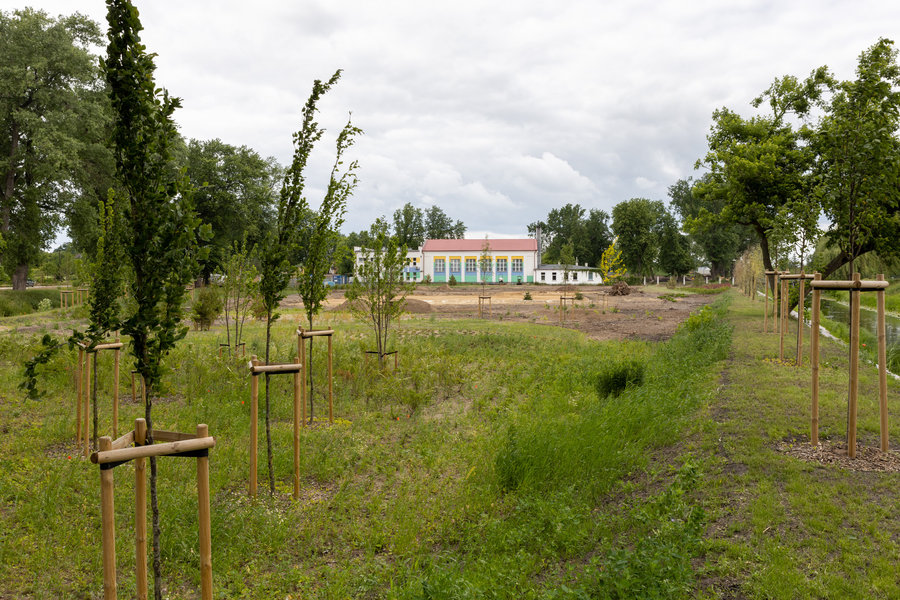 Posadzonych zostanie 87 gatunków roślin, które utworzą wielopiętrowe układy zieleni.