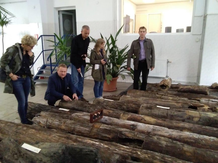 Znalezisko obejrzeli konserwatorzy z Muzeum Archeologicznego w Biskupinie i Uniwersytetu Przyrodniczego w Poznaniu. 