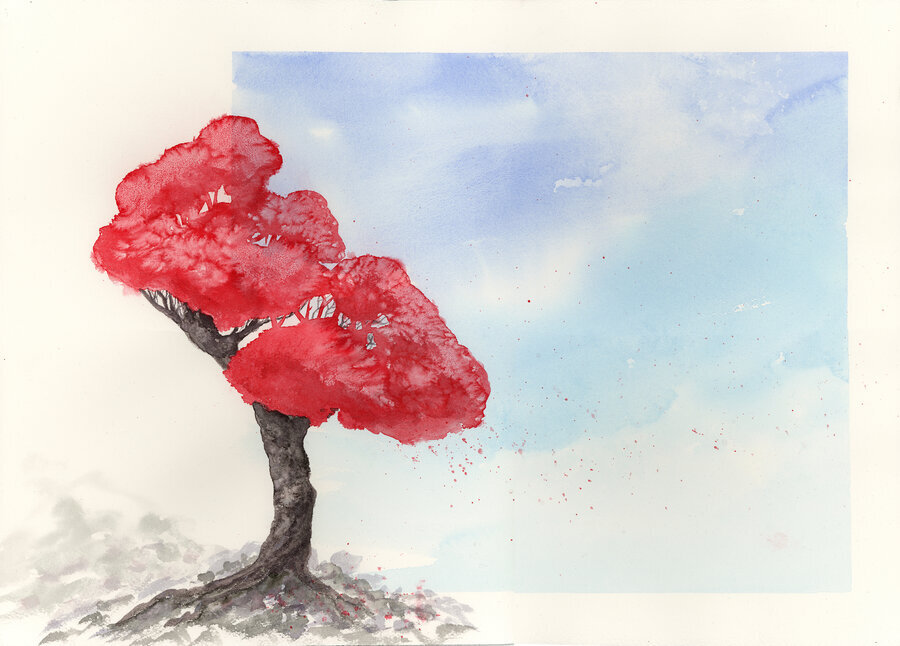 Za pieniądze pozyskane ze sprzedaży tego obrazu Krzyśka kupiliśmy… 