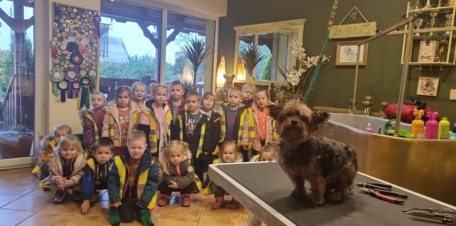 Przedszkolacy z wizytą w psim spa w Starym Gołębinie.