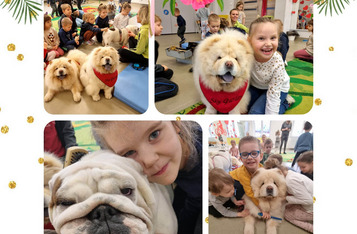 Zajęcia z dogoterapii w czempińskim przedszkolu „Karuzela”