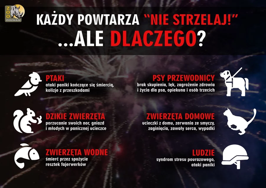 Infografika ZOO Poznań