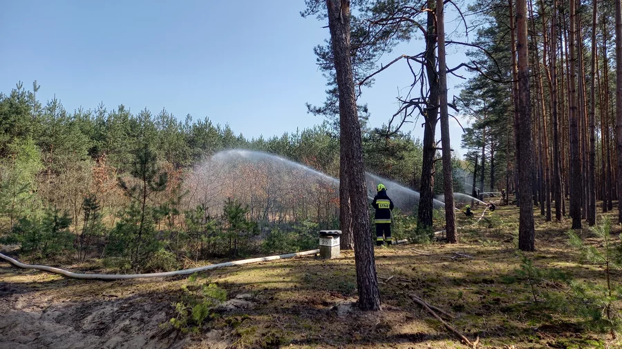 Ćwiczenia gaszenia pożaru lasu. Fot. M. Marchelek-Pawlak