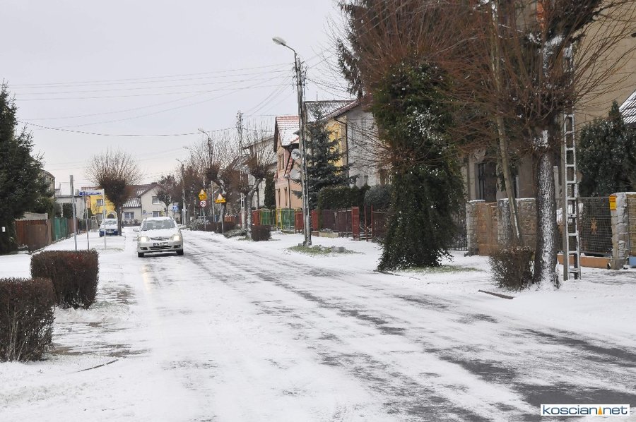 Fot. Bogdan Ludowicz 