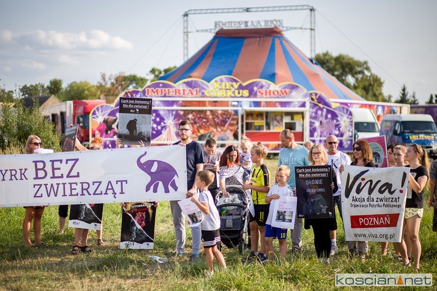 Kościan, 16.08.2018. Fot. koscian.net
