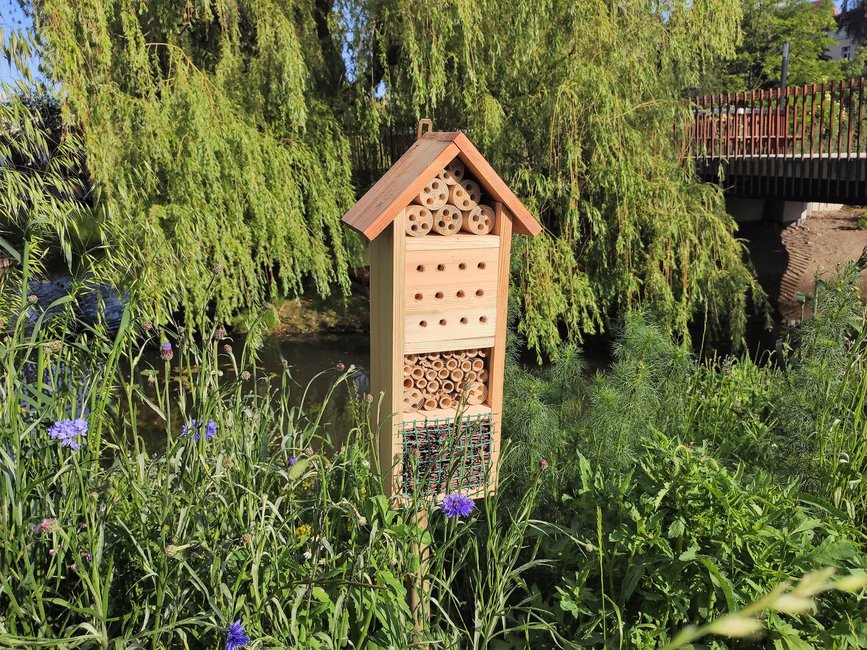 Fot. Jacek Olejniczak /UMK