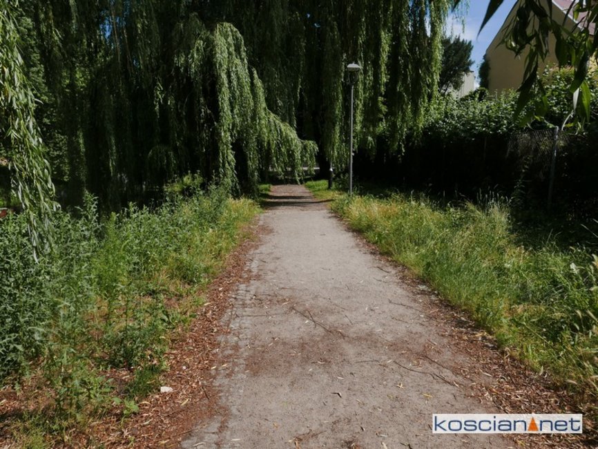 Zdjęcia nadesłane przez czytelników