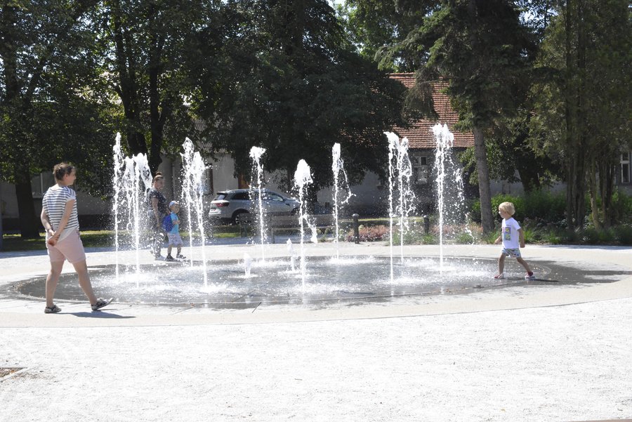 Fot. Bogdan Ludowicz 