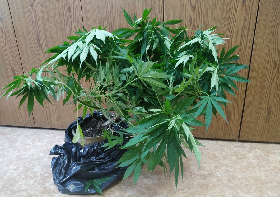 Fot. KPP w Kościanie