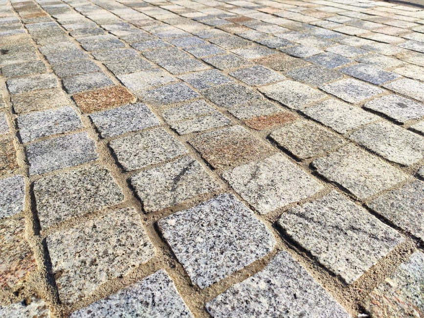 Fot. Jacek Olejniczak / UMK