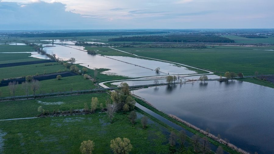 Fot. Piotr Nędzewicz
