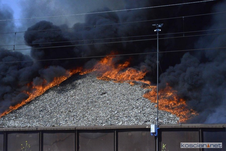 Fot. Bogdan Ludowicz