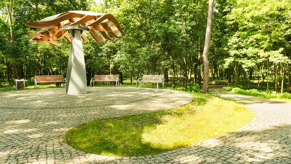Kościański park 