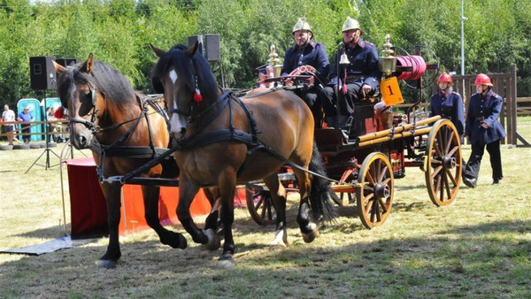 Sikawki w obiektywie Kuby