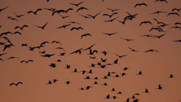 A co Ty o tym myślisz?