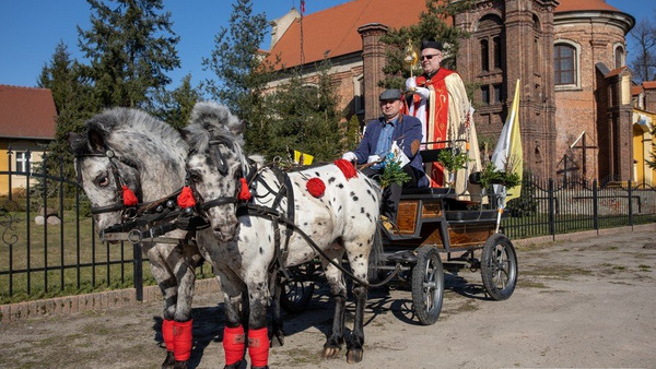 Niedziela Palmowa w czasie pandemii