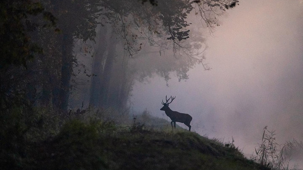 Życie nad kanałem Obry