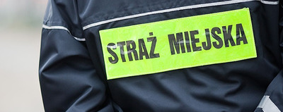 Obnażał się w parku 