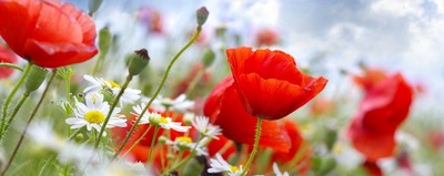 Propozycje na majówkę