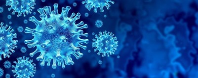 Liczba zakażonych: zero