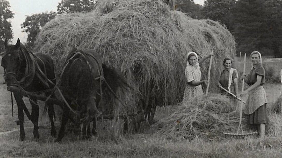 Zdjęcie ilustracyjne. 
