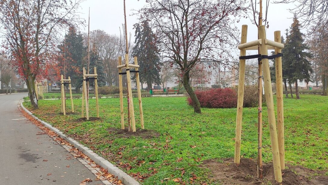 Fot. Jacek Olejniczak