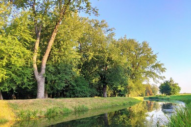 Dziesięć lat temu zakończono rewitalizację parku 