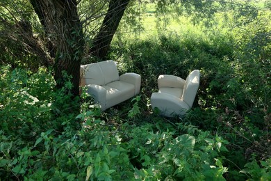 Ławki na drzewie, kanapy w rowie