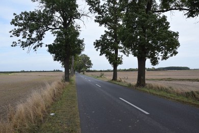 Powstanie ścieżka rowerowa Śmigiel – Morownica