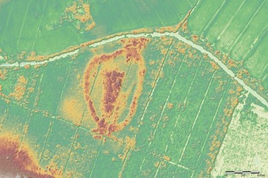 Zagadkowa osada w pobliżu Kościana. Ma 2700 lat 