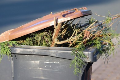 Kolor kubła ma znaczenie. Mogą nie odebrać odpadów