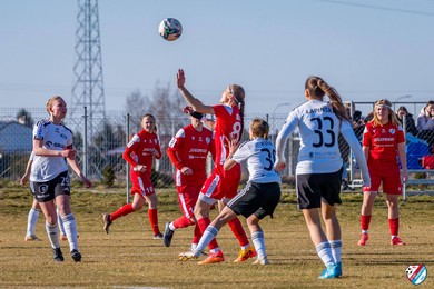 Kibicujemy piłkarkom i pomagamy schronisku