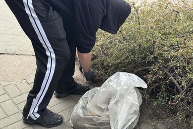 Młodzi wandale dobrowolnie naprawili szkody 