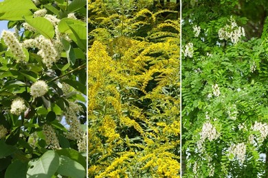 Opowiedzą o gatunkach obcych, inwazyjnych i niebezpiecznych