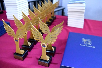 Nagrody i wyróżnienia za osiągnięcia sportowe