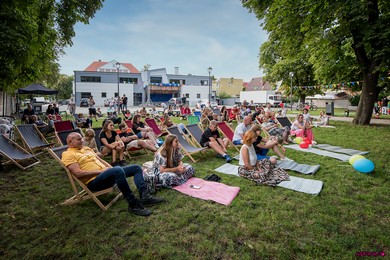 Dzień przyjaźni pod kasztanami