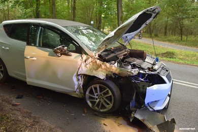 Stracił panowanie nad autem i uderzył w drzewo 