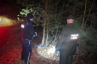 22-latek ukarany za zaśmiecanie lasu 