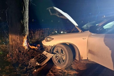 Chciał uniknąć zderzenia ze zwierzyną leśną