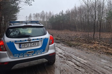 Niewybuch znaleziony w lesie. Teren zabezpiecza Policja