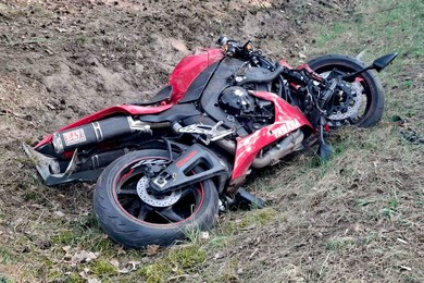 Zderzenie motocykla z sarnami. Jedno ze zwierząt nie przeżyło